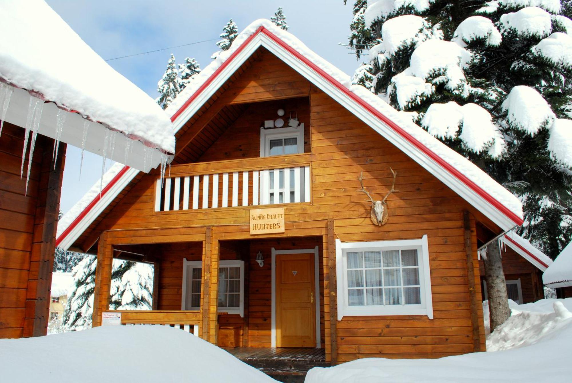 Alpine Ski Chalet Borovets With Sauna Vila Exterior foto